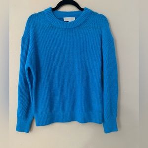 Everlane blue sweater